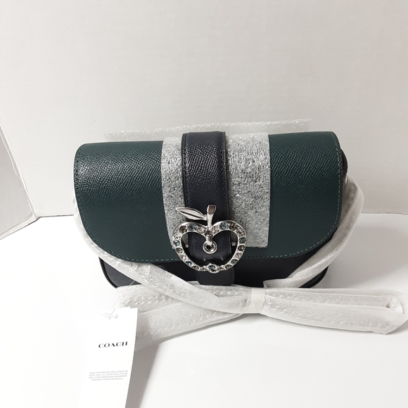 Coach Gemma Crossbody In Colorblock With Apple Buckle NWT - Picture 7 of 12